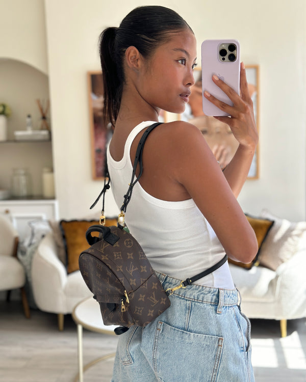 Louis Vuitton Brown Mini Palm Springs Backpack with Gold Hardware