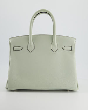 Hermes Birkin Bag Togo Leather Palladium Hardware In Mint Green