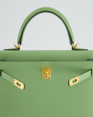 Rare* Hermes Birkin 25 Sellier Handbag Vert Criquet Epsom Leather Wit –  Bags Of Personality