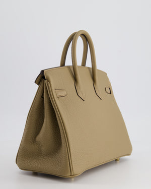 *HOT COLOUR* Hermès Birkin 25cm Retourne in Beige Marfa Togo Leather with Gold Hardware