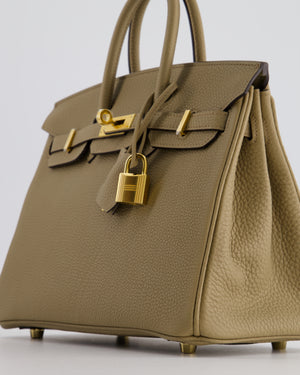 *HOT COLOUR* Hermès Birkin 25cm Retourne in Beige Marfa Togo Leather with Gold Hardware