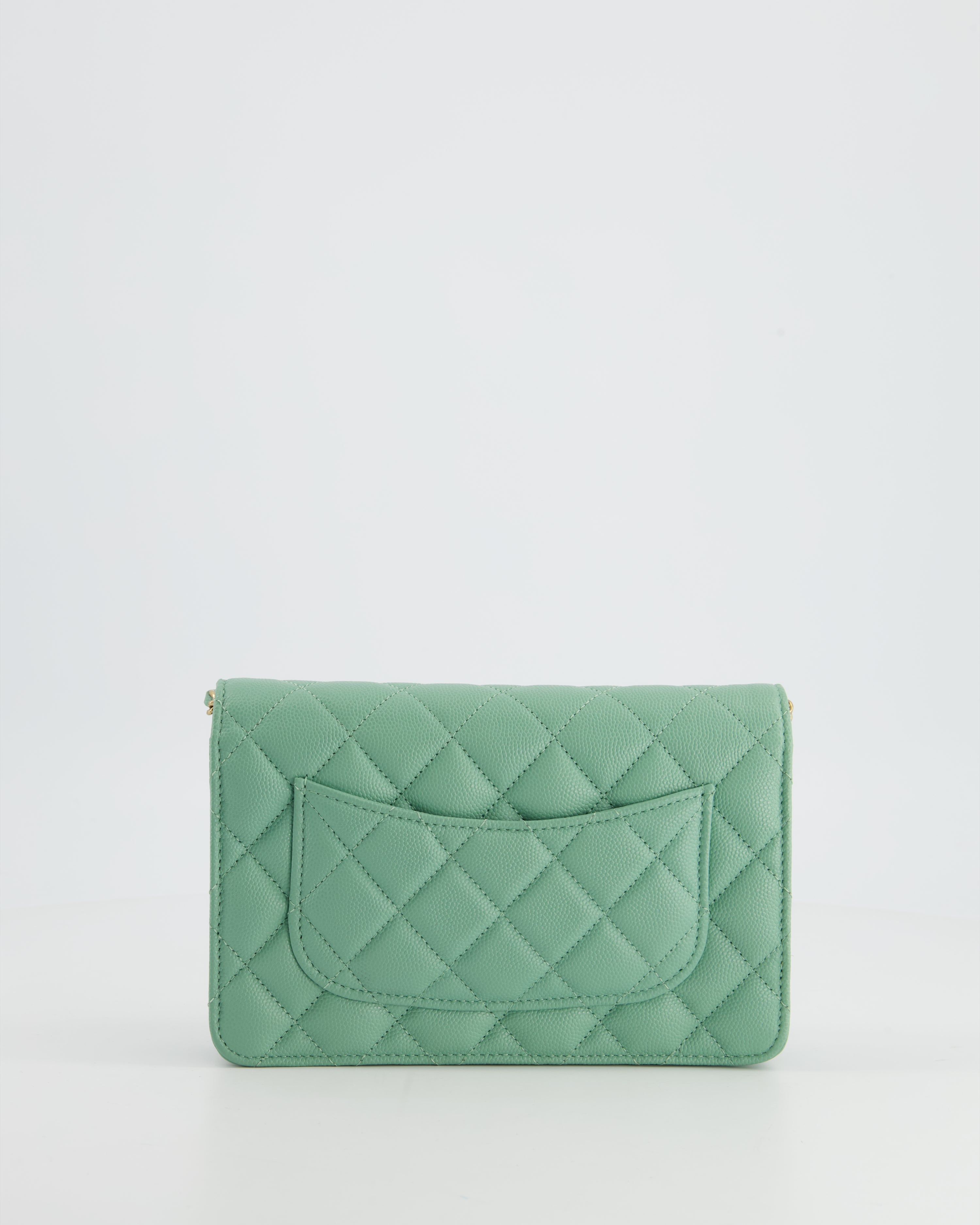 Mint green hot sale chanel bag