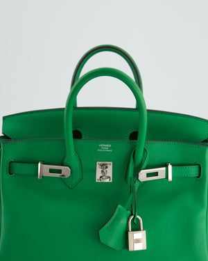 Hermès Birkin Bag 25cm Bamboo in Swift Leather with Palladium Hardware Bag