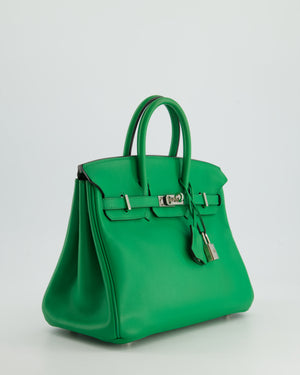 Hermès Birkin Bag 25cm Bamboo in Swift Leather with Palladium Hardware Bag