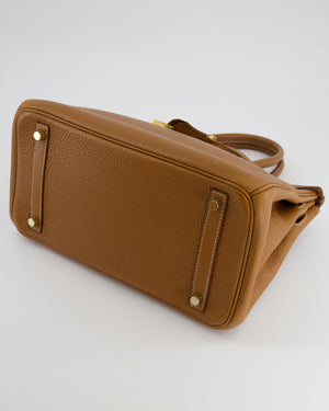*RARE* Hermès Birkin Bag Retourne 30cm in Gold Togo Leather with Gold Hardware