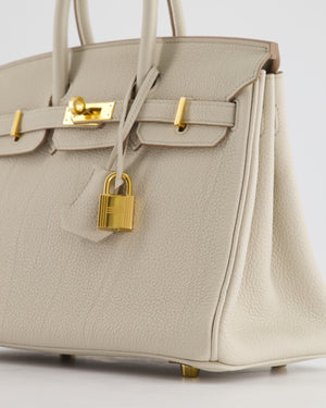 Hermès Birkin 25cm Bag in Beton Togo Leather and Gold Hardware