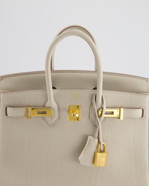 Hermès Birkin 25cm Bag in Beton Togo Leather and Gold Hardware