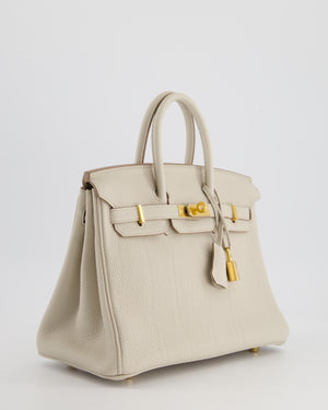 Hermès Birkin 25cm Bag in Beton Togo Leather and Gold Hardware