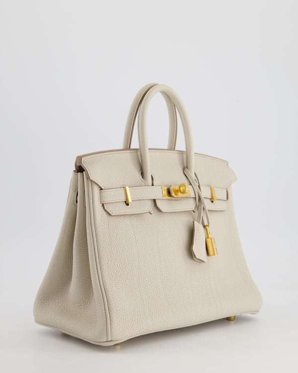 Hermès Birkin 25cm Bag in Beton Togo Leather and Gold Hardware