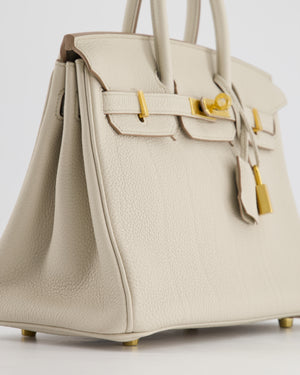 Hermès Birkin 25cm Bag in Beton Togo Leather and Gold Hardware