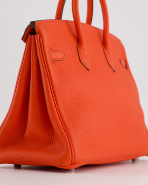 Hermès Birkin 25cm Bag in Capucine Togo Leather and Palladium Hardware