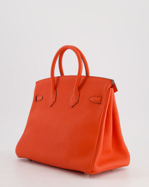 Hermès Birkin 25cm Bag in Capucine Togo Leather and Palladium Hardware