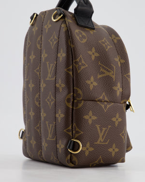 Louis Vuitton Brown Mini Palm Springs Backpack with Gold Hardware