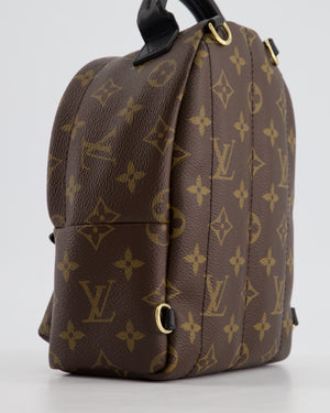 Louis Vuitton Brown Mini Palm Springs Backpack with Gold Hardware