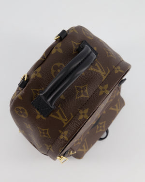 Louis Vuitton Brown Mini Palm Springs Backpack with Gold Hardware