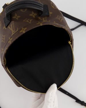 Louis Vuitton Brown Mini Palm Springs Backpack with Gold Hardware