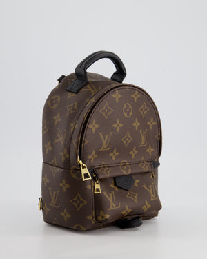 Louis Vuitton Brown Mini Palm Springs Backpack with Gold Hardware