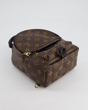 Louis Vuitton Brown Mini Palm Springs Backpack with Gold Hardware