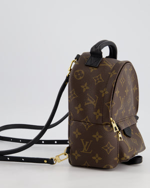 Louis Vuitton Brown Mini Palm Springs Backpack with Gold Hardware