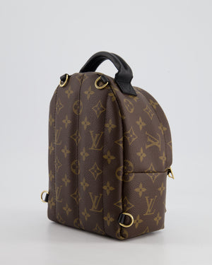 Louis Vuitton Brown Mini Palm Springs Backpack with Gold Hardware