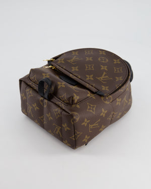 Louis Vuitton Brown Mini Palm Springs Backpack with Gold Hardware