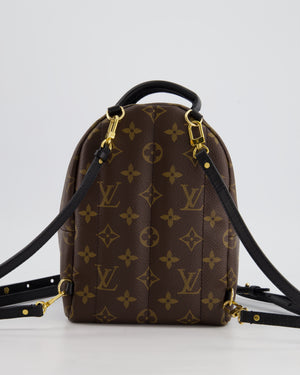 Louis Vuitton Brown Mini Palm Springs Backpack with Gold Hardware