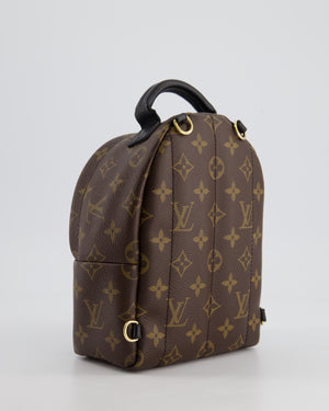 Louis Vuitton Brown Mini Palm Springs Backpack with Gold Hardware