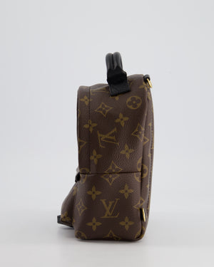 Louis Vuitton Brown Mini Palm Springs Backpack with Gold Hardware