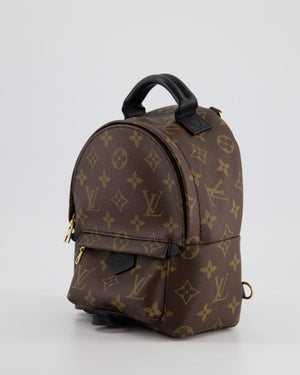 Louis Vuitton Brown Mini Palm Springs Backpack with Gold Hardware