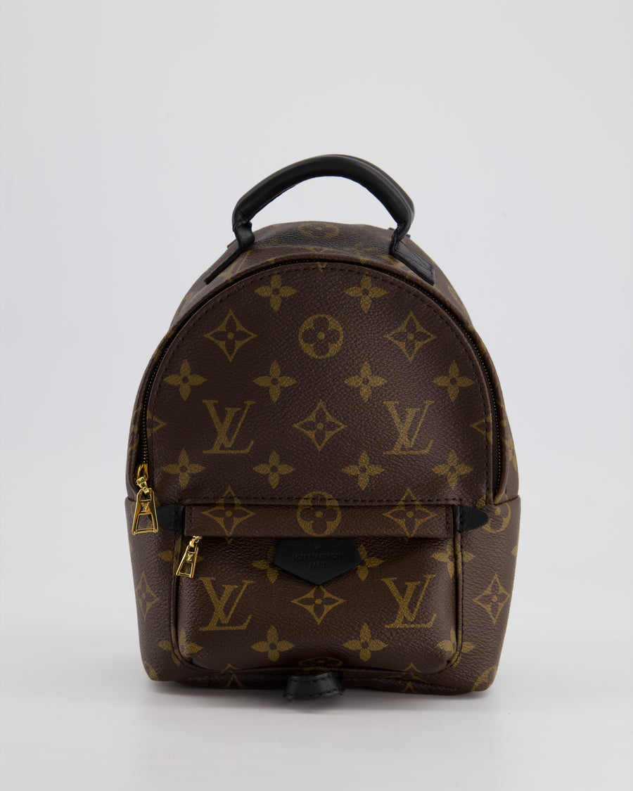 Louis Vuitton Brown Mini Palm Springs Backpack with Gold Hardware