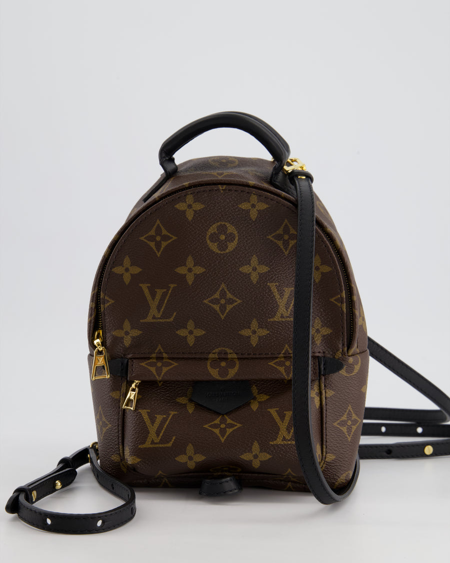 Louis Vuitton Brown Mini Palm Springs Backpack with Gold Hardware