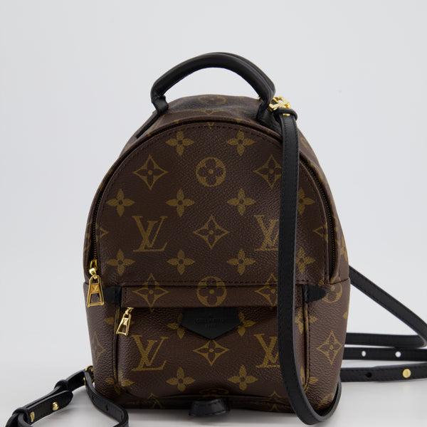 Louis Vuitton Brown Mini Palm Springs Backpack with Gold Hardware