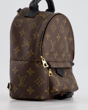 Louis Vuitton Brown Mini Palm Springs Backpack with Gold Hardware