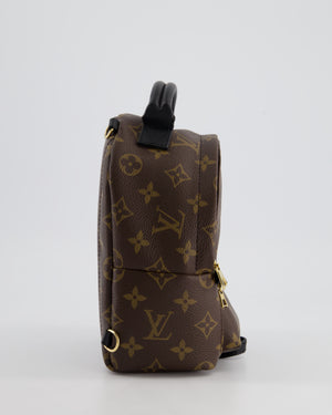 Louis Vuitton Brown Mini Palm Springs Backpack with Gold Hardware