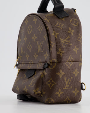 Louis Vuitton Brown Mini Palm Springs Backpack with Gold Hardware