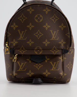 Louis Vuitton Brown Mini Palm Springs Backpack with Gold Hardware