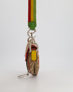 Christian Dior 2004 John Galliano Vintage Rasta Trotter Saddle Shoulder Bag with Silver Hardware