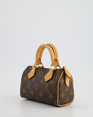 Louis Vuitton Brown Monogram Nano Speedy Bag