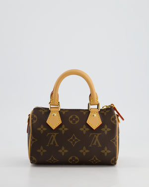 Louis Vuitton Brown Monogram Nano Speedy Bag