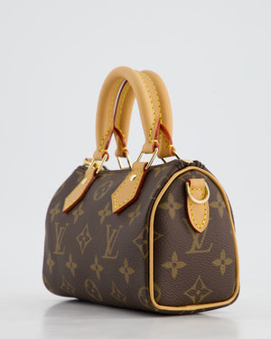 Louis Vuitton Brown Monogram Nano Speedy Bag