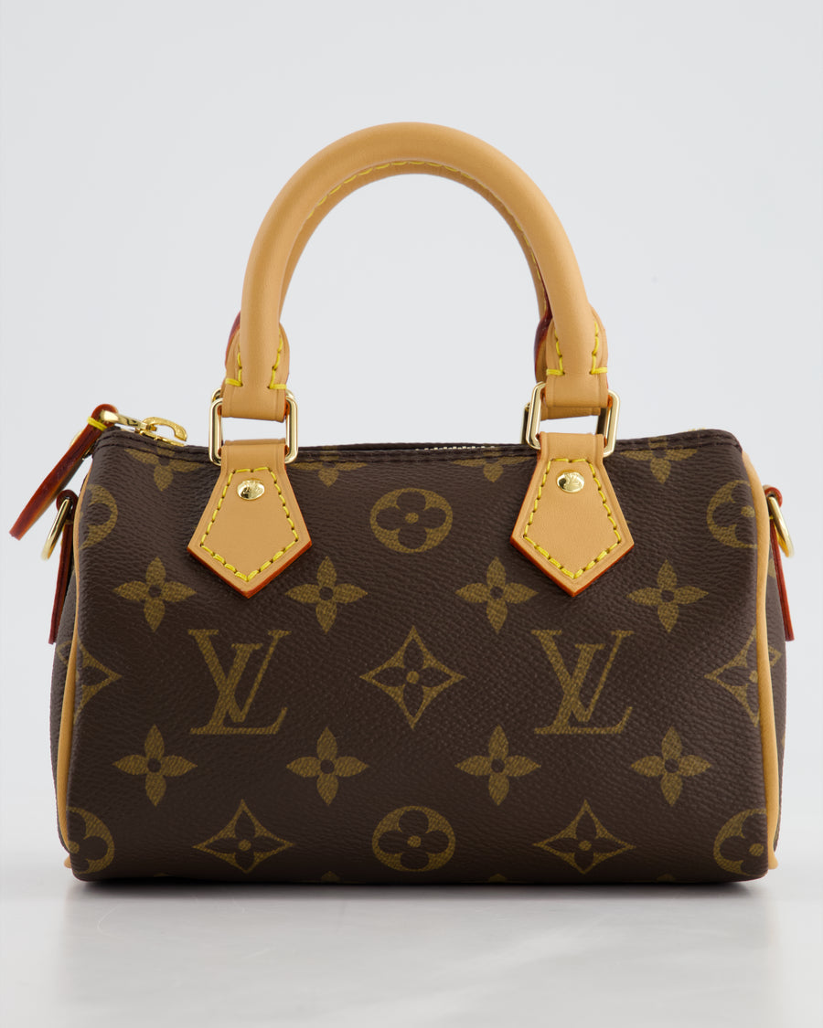 Louis Vuitton Brown Monogram Nano Speedy Bag