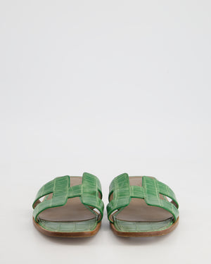 Hermes Cactus Crocodile Oran Sandals Size EU 40