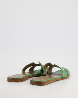 Hermes Cactus Crocodile Oran Sandals Size EU 40