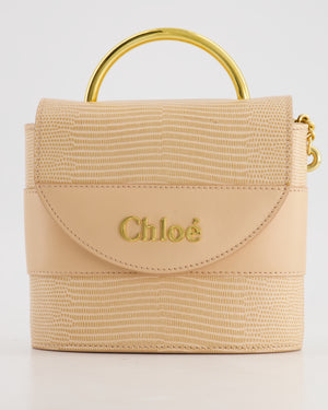 Chloé Dusty Pink Abbey Lock Leather Shoulder Bag with Gold Hardware