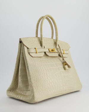 Hermès Birkin 35cm Bag in Beton Alligator Mississippiensis with Gold Hardware