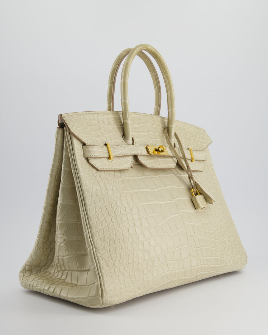 Hermès Birkin 35cm Bag in Beton Alligator Mississippiensis with Gold Hardware