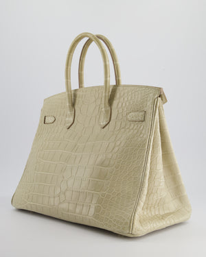 Hermès Birkin 35cm Bag in Beton Alligator Mississippiensis with Gold Hardware