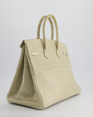 Hermès Birkin 35cm Bag in Beton Alligator Mississippiensis with Gold Hardware