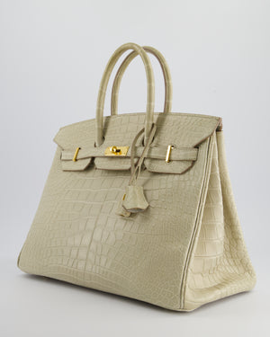 Hermès Birkin 35cm Bag in Beton Alligator Mississippiensis with Gold Hardware