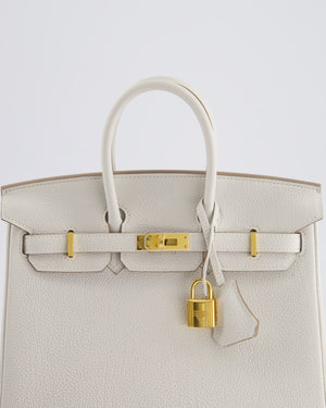 *RARE* Hermès Birkin Retourne 25cm Bag in Gris Pale Togo Leather with Gold Hardware